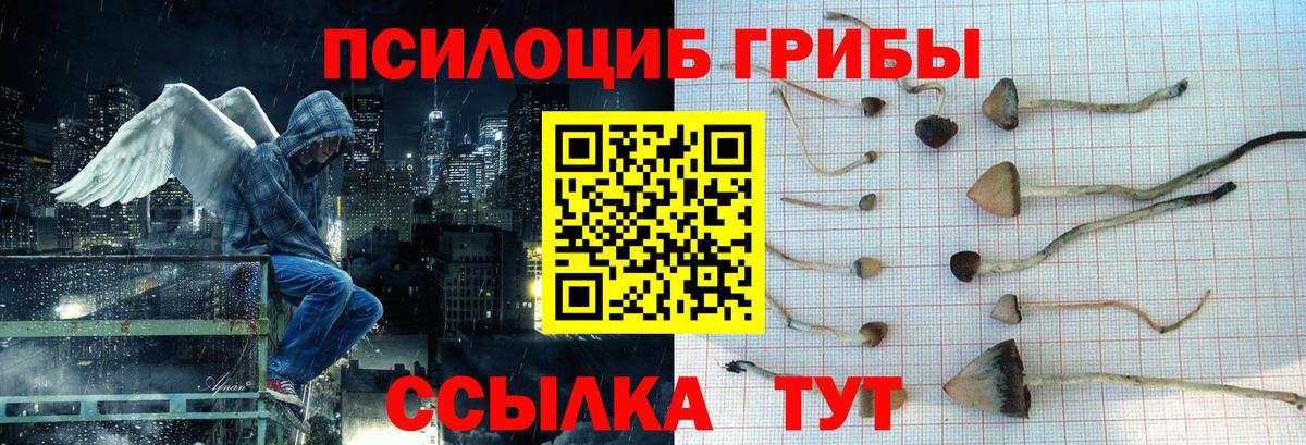 Псилоцибиновые грибы MAGIC MUSHROOMS  Вход с VPN  Краснокаменск  Псилоцибиновые грибы мицелий 